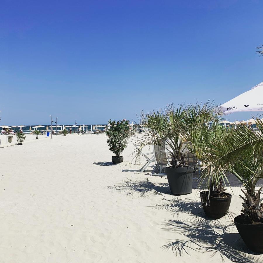 Vela Luxury Sea View Apartments - Marina Surf Năvodari Εξωτερικό φωτογραφία